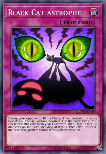 Black Cat-astrophe