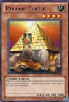 Pyramid Turtle