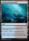 Submerged Boneyard