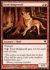 Loup sauvage des contreforts