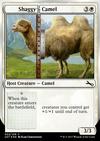 Shaggy Camel