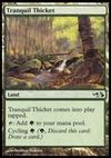 Tranquil Thicket