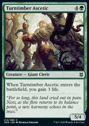 Turntimber Ascetic