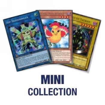 Mini Sammlung (Bis zu 100 Karten)