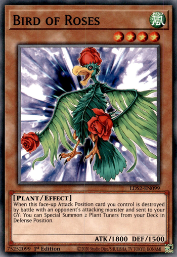 Bird of Roses Bird of Roses