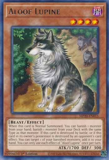 Unnahbarer Wolf