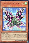 Queen Butterfly Danaus